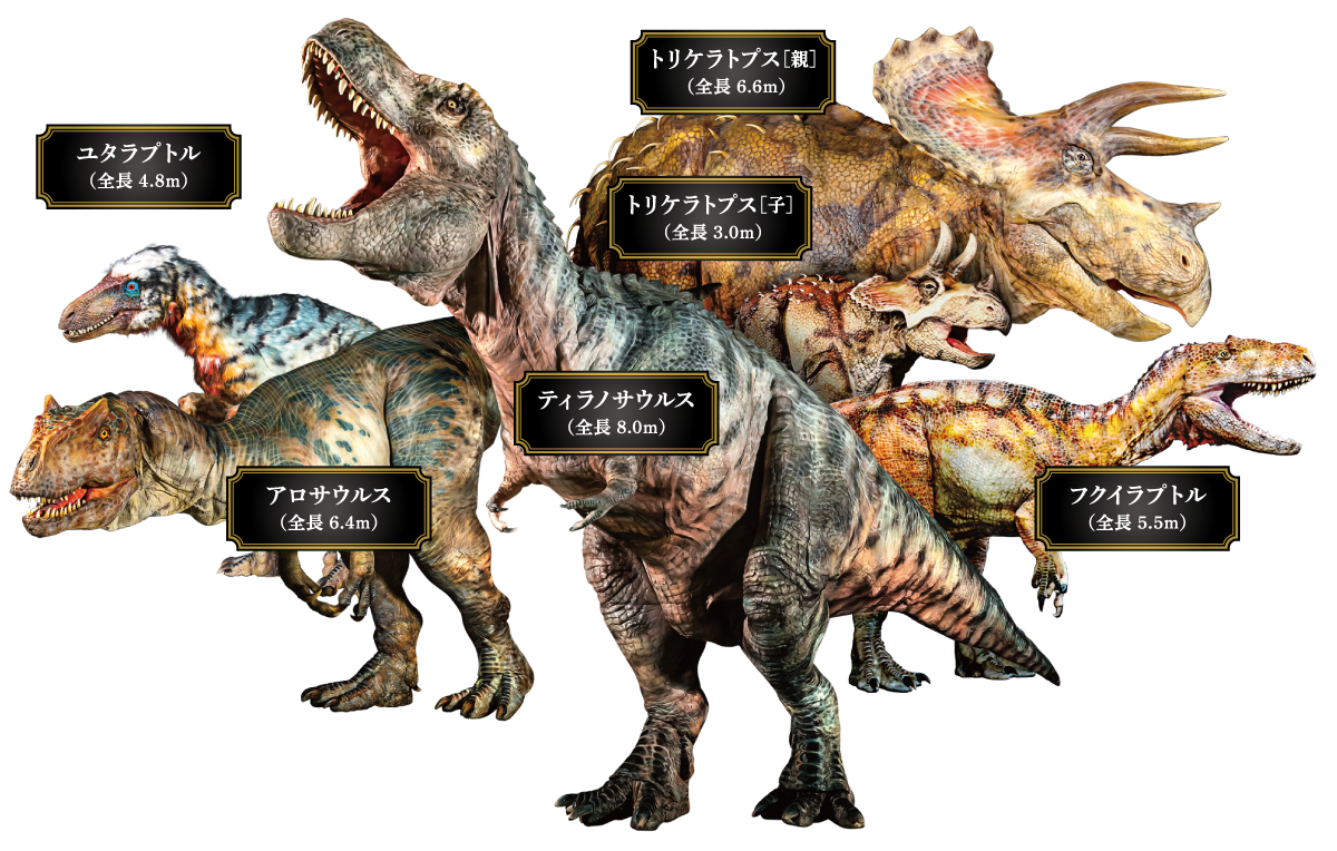 DINO-A-LIVE（ディノアライブ）「不思議な恐竜博物館 in TACHIKAWA 2021」に出演する恐竜たち。ティラノサウルス（全長8m）、トリケラトプス(全長6.6m)、子供のトリケラトプス(全長3.0m)、アロサウルス（全長6.4m）、フクイラプトル（全長5.5m）、ユタラプトル（全長4.8m）の、5種類全6頭