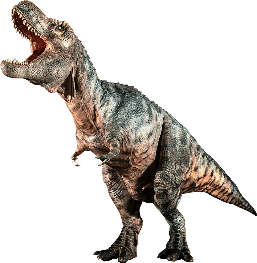 出演恐竜 | 【公式】「不思議な恐竜博物館 in TACHIKAWA 2021」DINO-A 